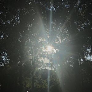 Meet your Posher, Maggie